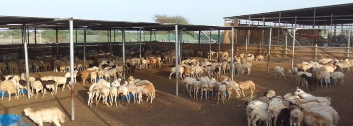 farm-shelters