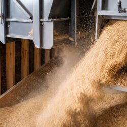 feed-milling